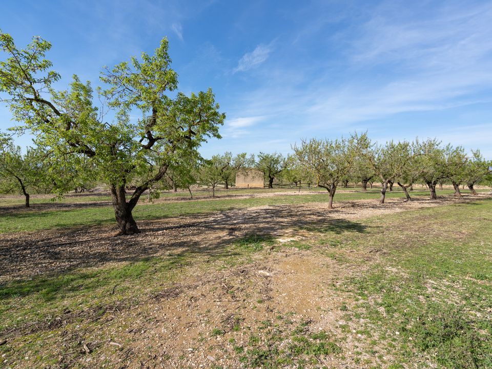 Finca i La Galera, Tarragona - bilde 3