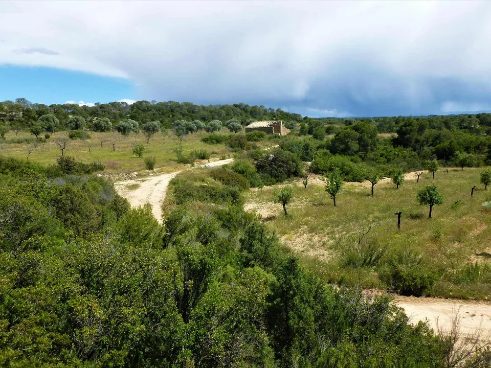 Finca i Maella, Zaragoza - foto 3