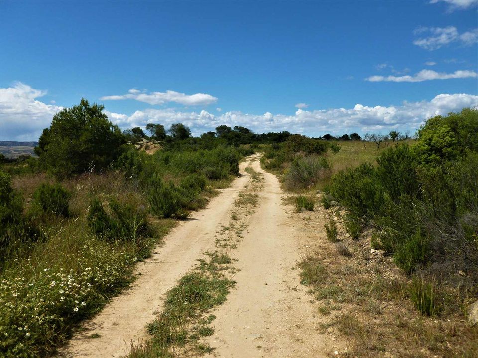Finca i Maella, Zaragoza - foto 2