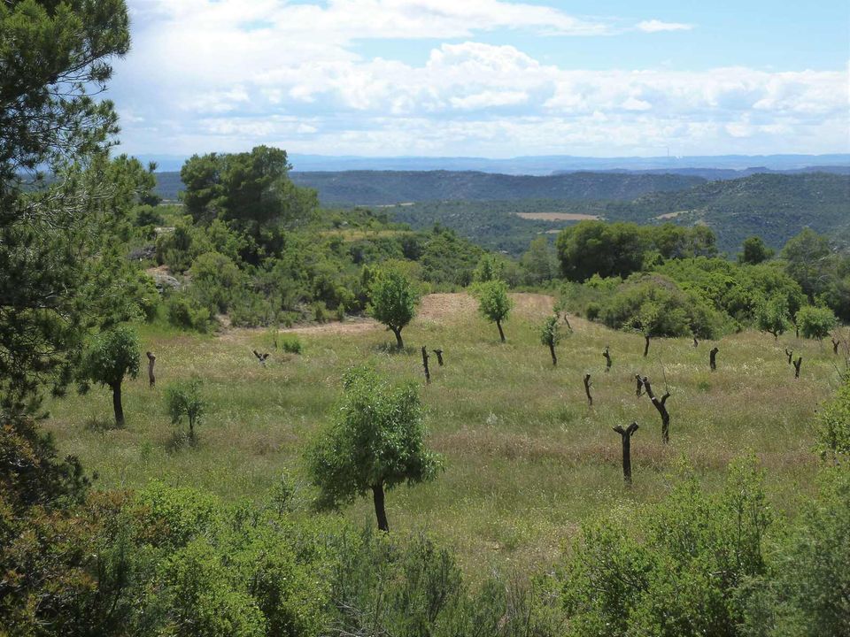 Finca i Maella, Zaragoza - foto 5