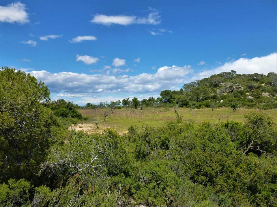 Finca i Maella, Zaragoza - foto 4