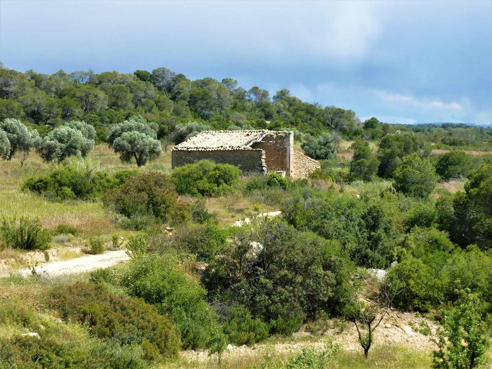 Finca i Maella, Zaragoza - foto 1