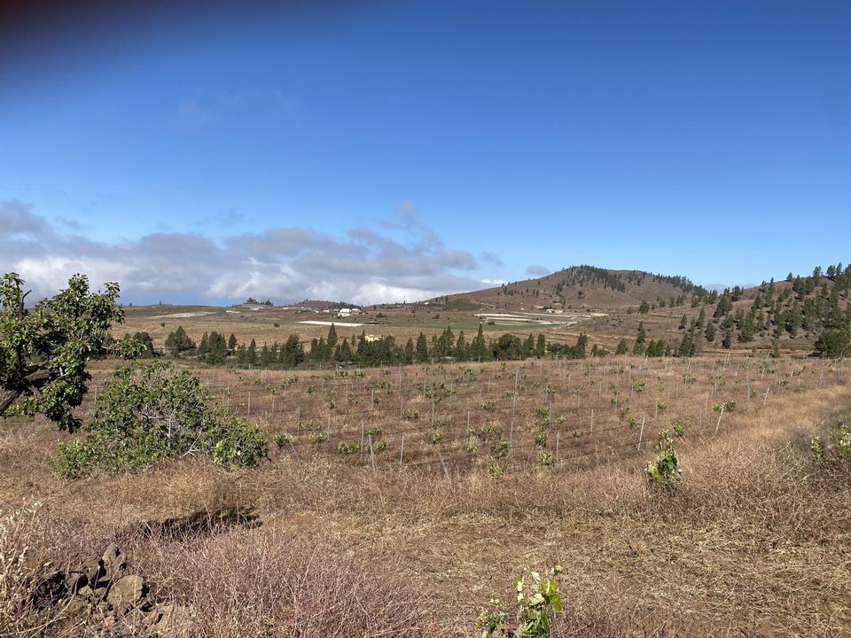 Villa i La Escalona, Tenerife - foto 3