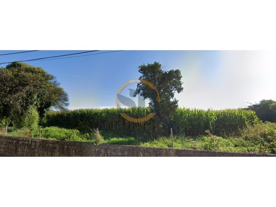 Farm i Ovar, Aveiro - foto 4