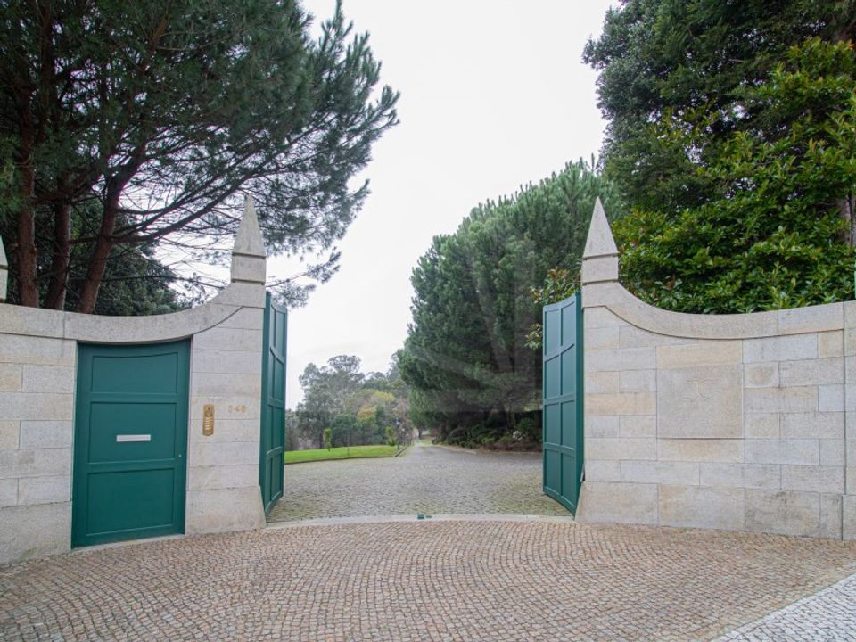 Farm i Oliveira de Azemeis, Aveiro - foto 3
