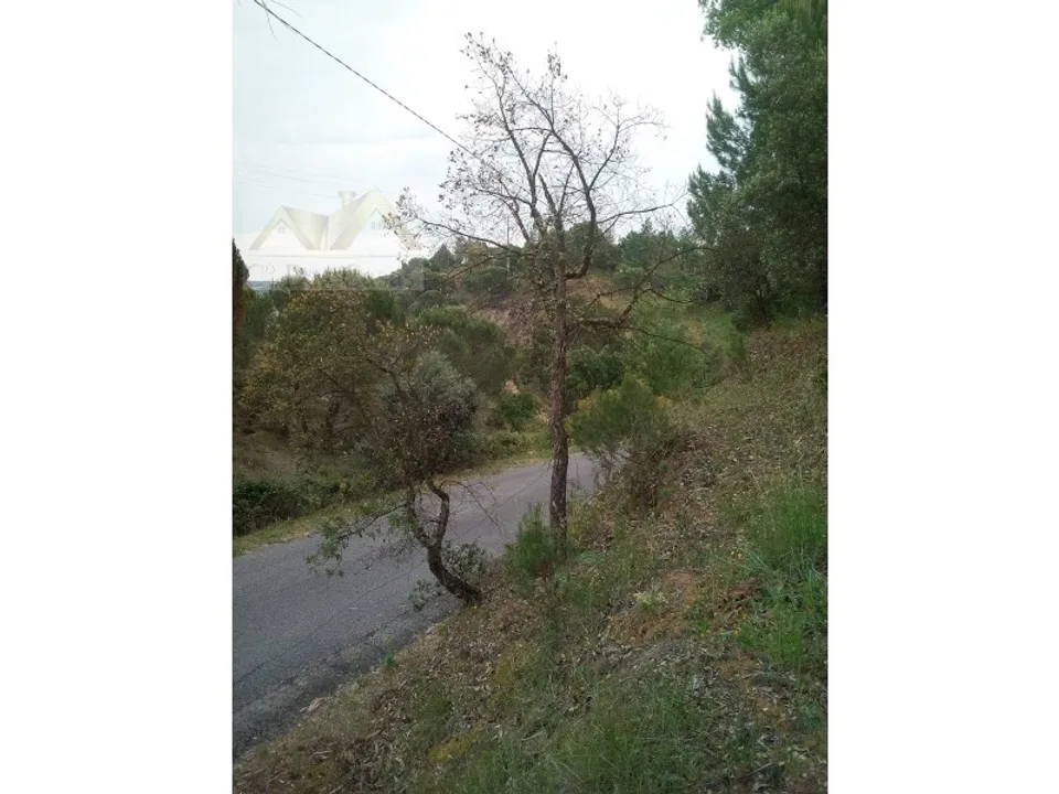 Helårsgrund i Montalvo, Santarem - foto 1