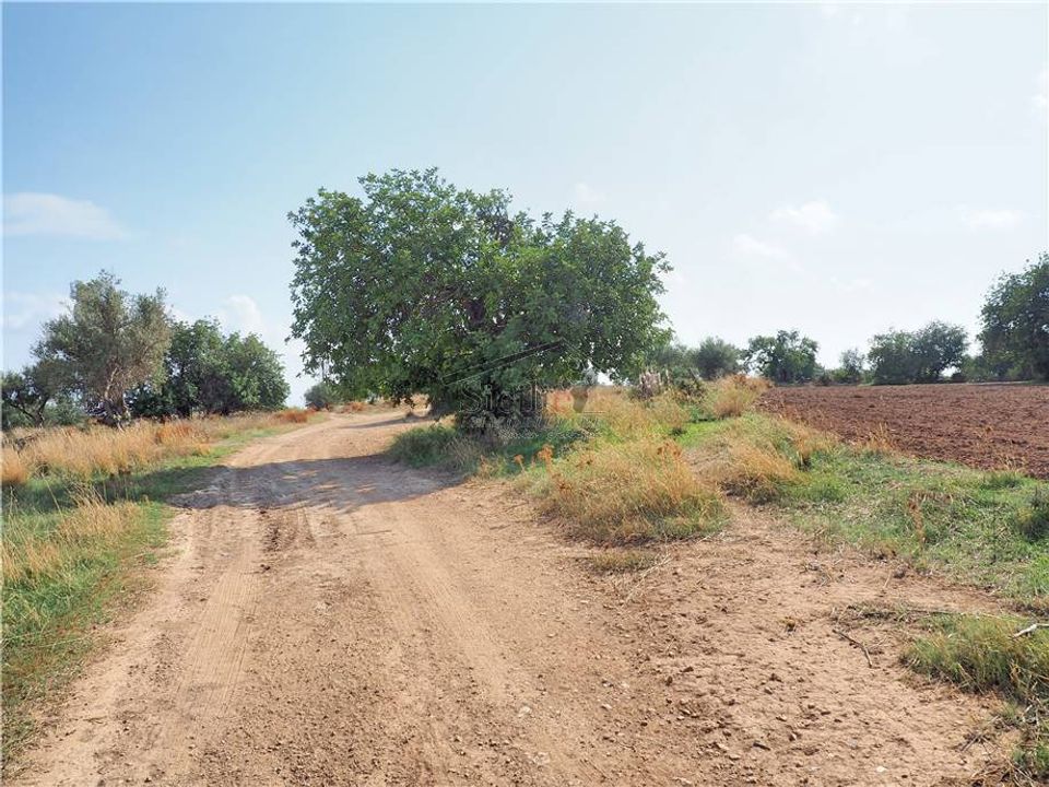 Grundstück in Scicli, Ragusa - Foto 5