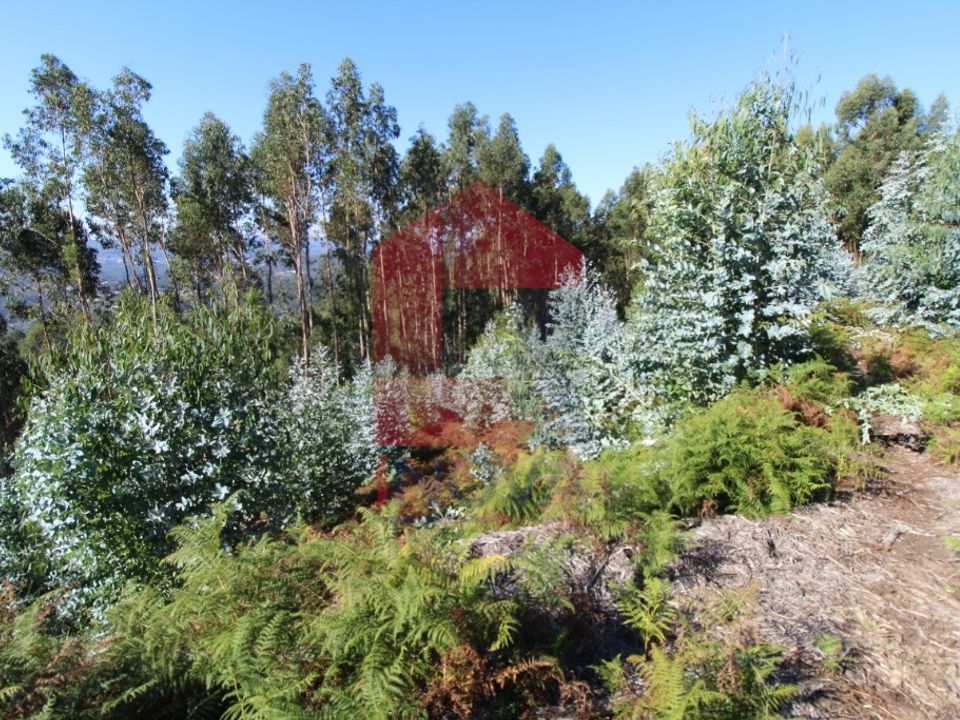 Helårsgrund i Vila Verde, Braga - foto 1