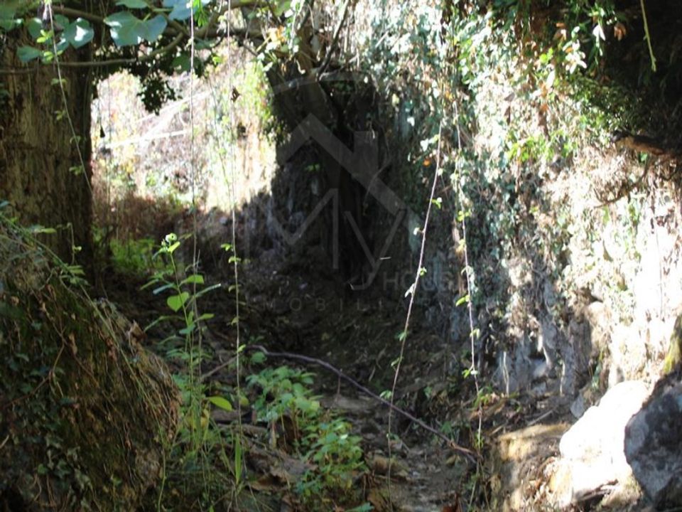 Herregård i Ribeira de Pena, Vila Real - bilde 5