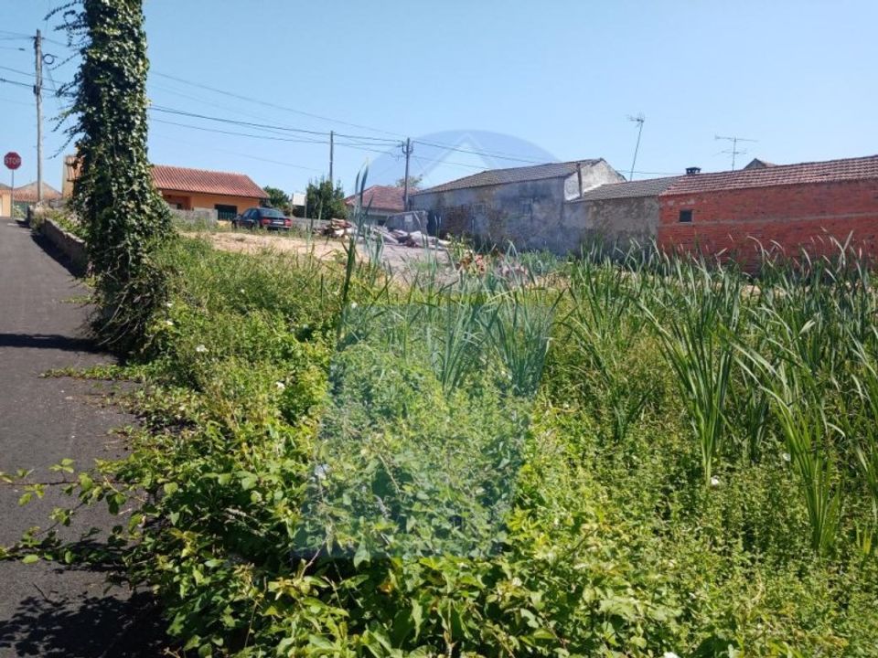Helårsgrund i Aveiro, Aveiro - foto 3