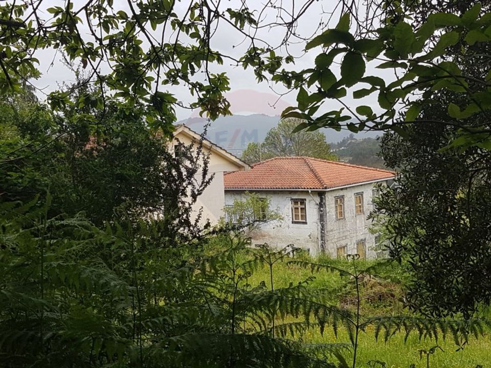 Farm i Arcos de Valdevez, Viana do Castelo - foto 3