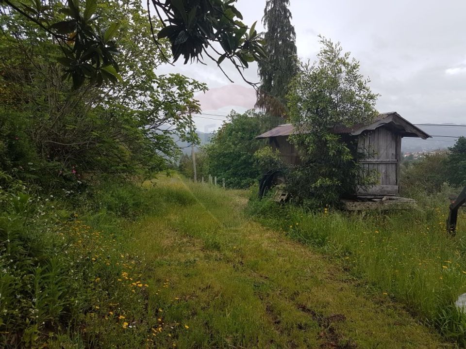 Farm i Arcos de Valdevez, Viana do Castelo - foto 5