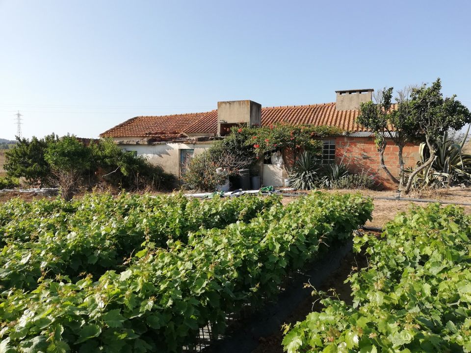 Villa i Obidos, Leiria - foto 1