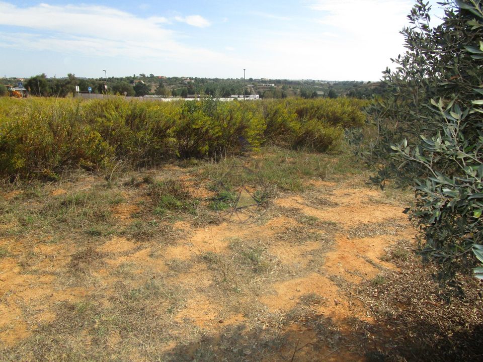Helårsgrund i Silves, Faro - foto 2