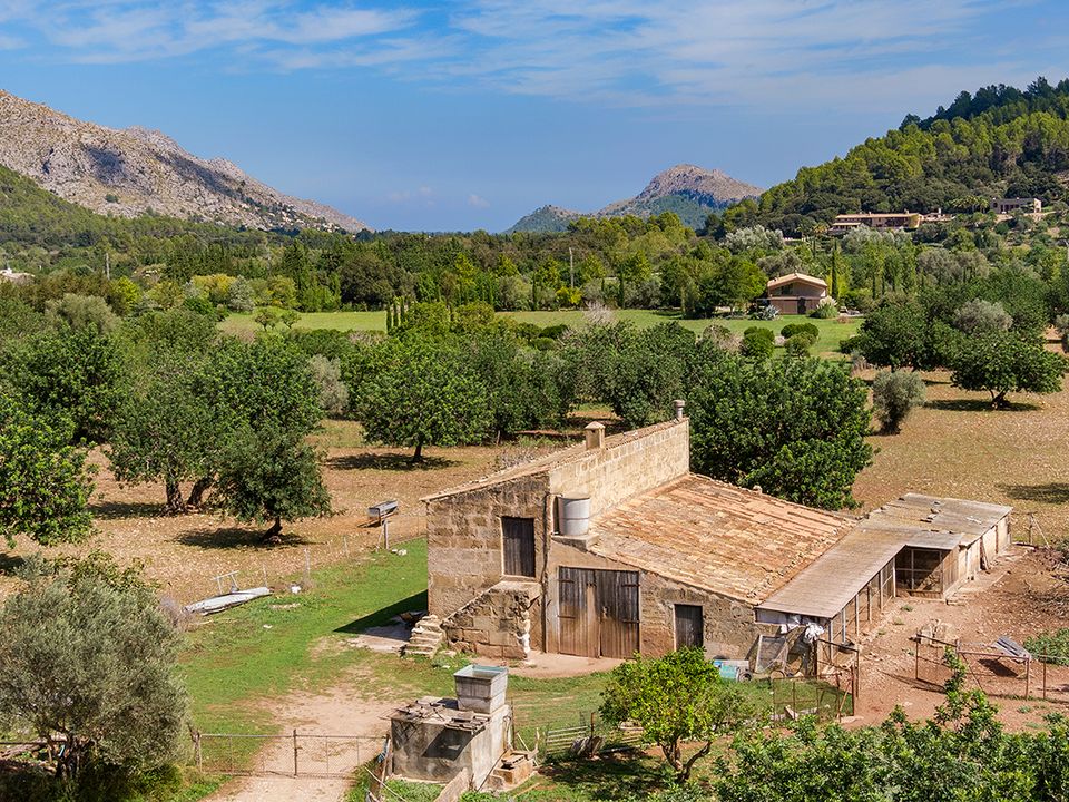 Cortijo i Pollenca, Mallorca - bilde 4