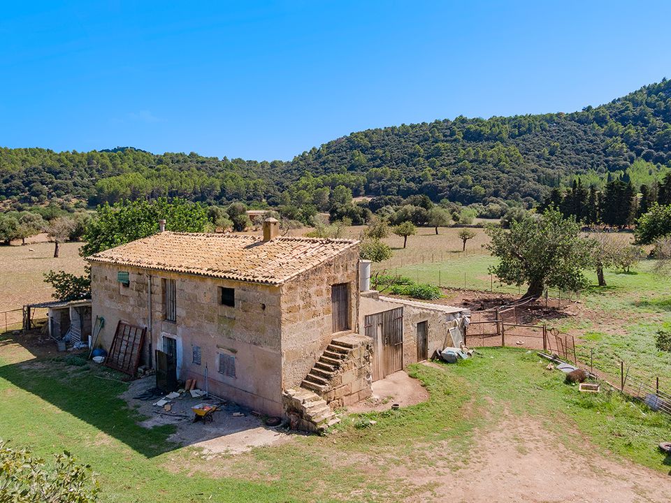 Cortijo i Pollenca, Mallorca - bilde 5