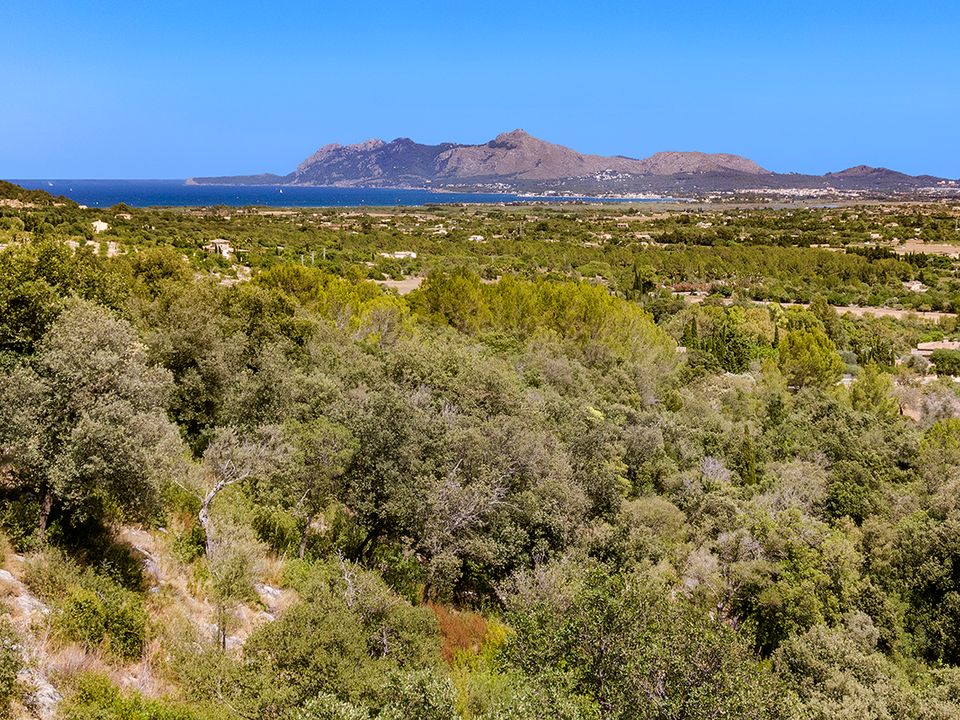 Helårsgrund i Pollenca, Mallorca - foto 1