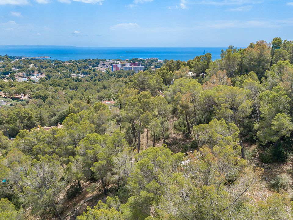 Villa i Costa D'en Blanes, Mallorca - foto 3