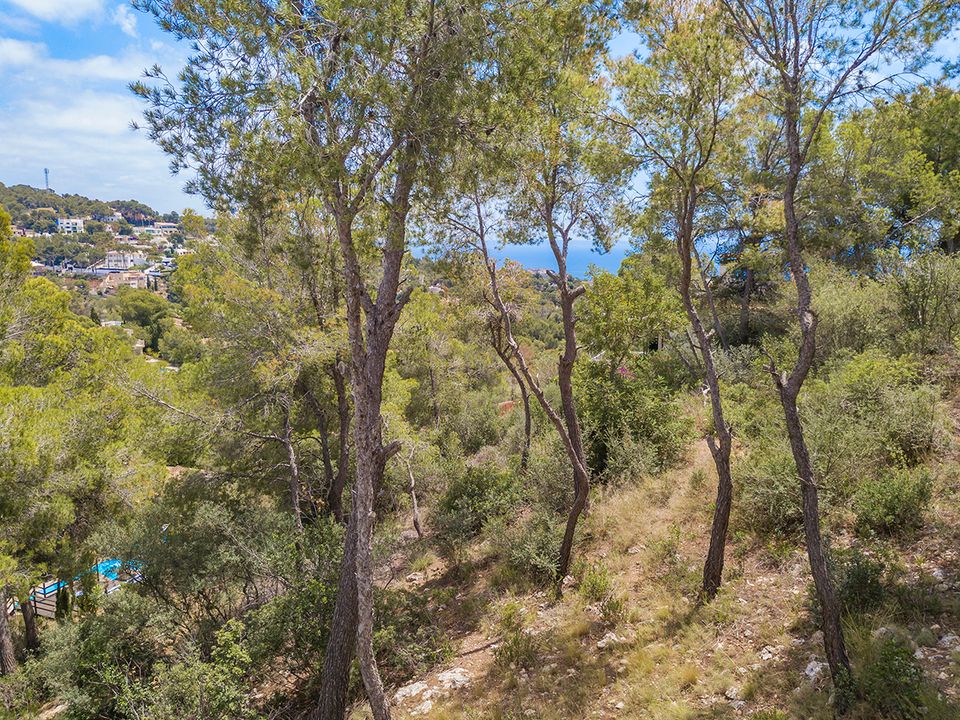 Villa i Costa D'en Blanes, Mallorca - foto 4