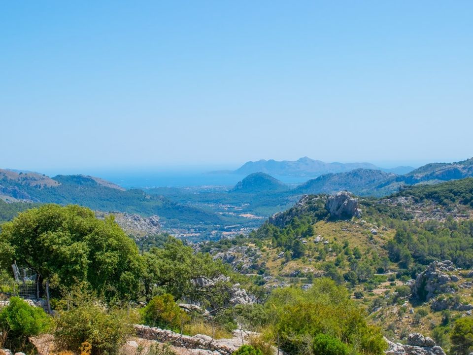 Cortijo i Pollenca, Mallorca - foto 3