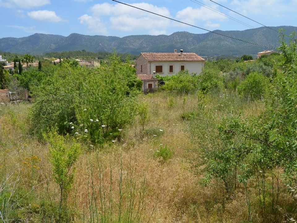 Helårsgrund i Calvia, Mallorca - foto 3