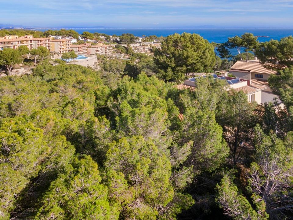 Tomt i Sol De Mallorca, Mallorca - bilde 4