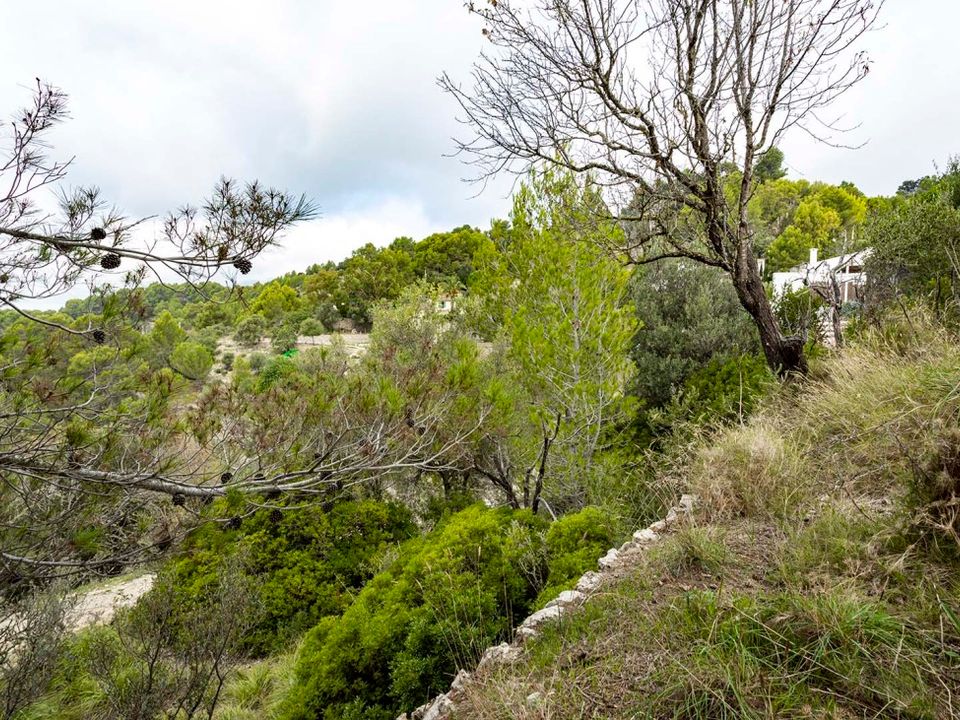 Helårsgrund i Puigpunyent, Mallorca - foto 4