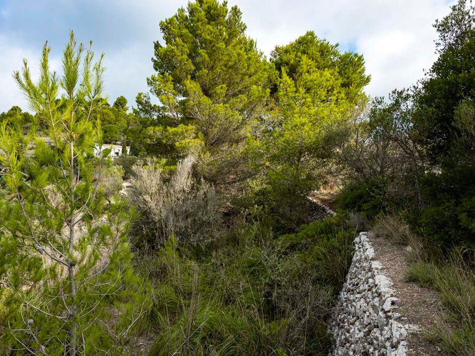 Helårsgrund i Puigpunyent, Mallorca - foto 5