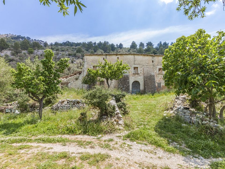 Landejendom i Alaro, Mallorca - foto 4