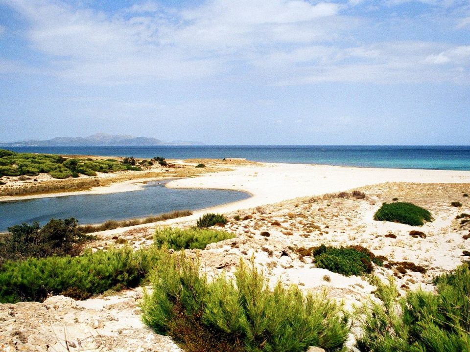 Villa i Santa Margalida, Mallorca - foto 5