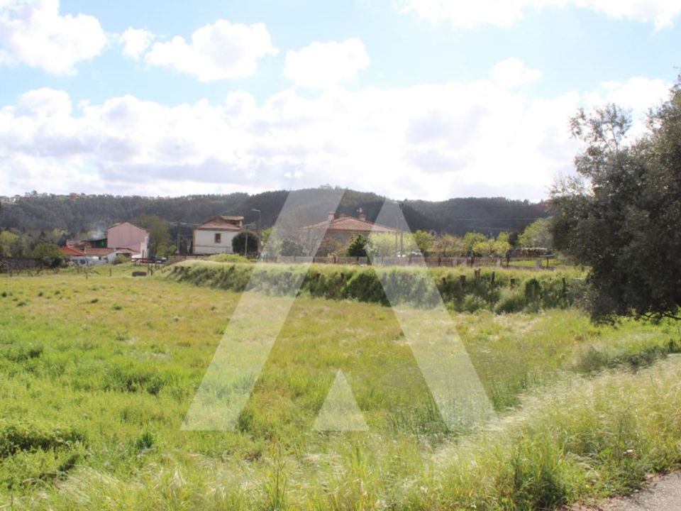 Helårsgrund i Albergaria-a-Velha, Aveiro - foto 3