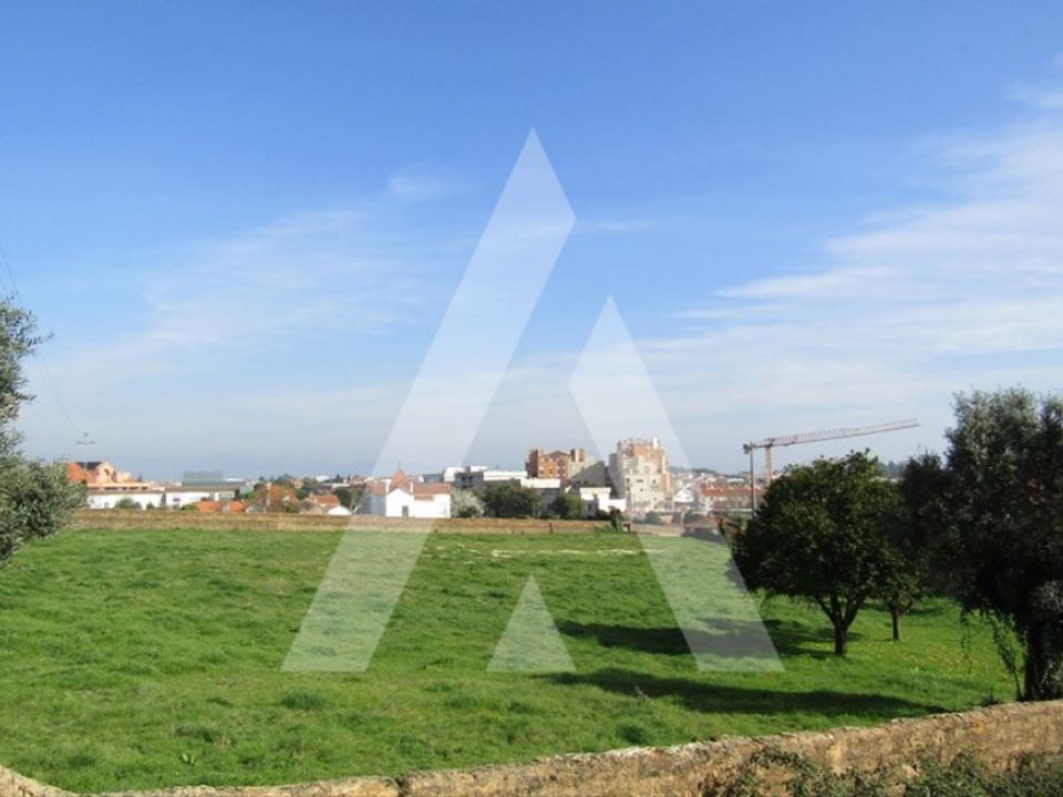Helårsgrund i Albergaria-a-Velha, Aveiro - foto 2