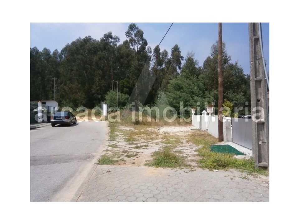 Tomt i Sever do Vouga, Aveiro - foto 1