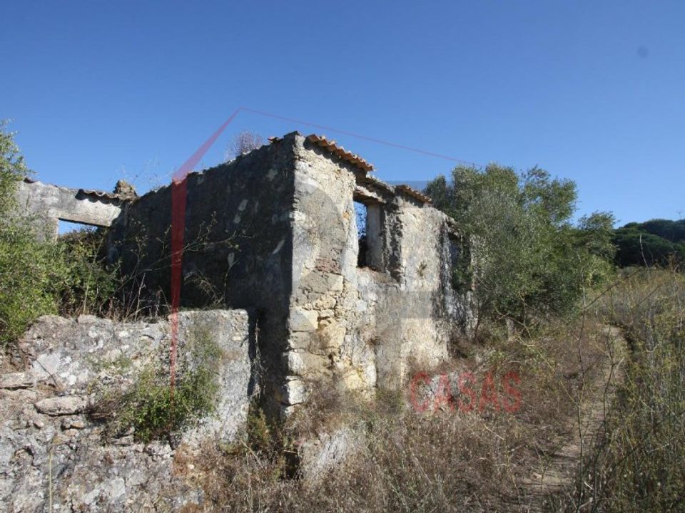 Landejendom i Quinta do Anjo, Setubal - foto 1