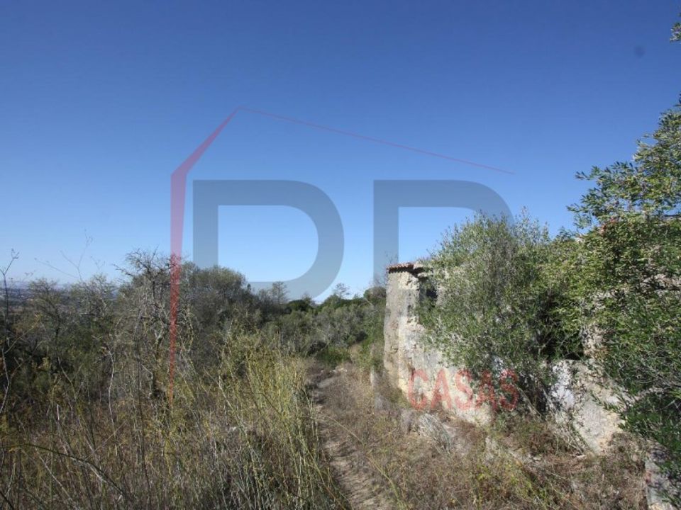 Landejendom i Quinta do Anjo, Setubal - foto 2