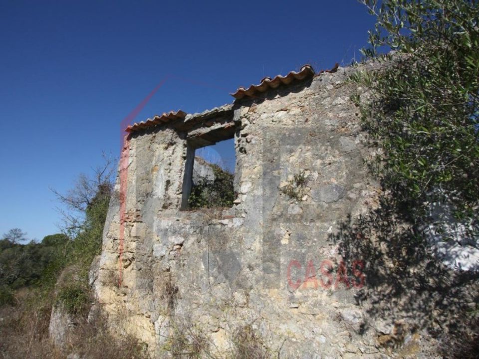 Landejendom i Quinta do Anjo, Setubal - foto 3