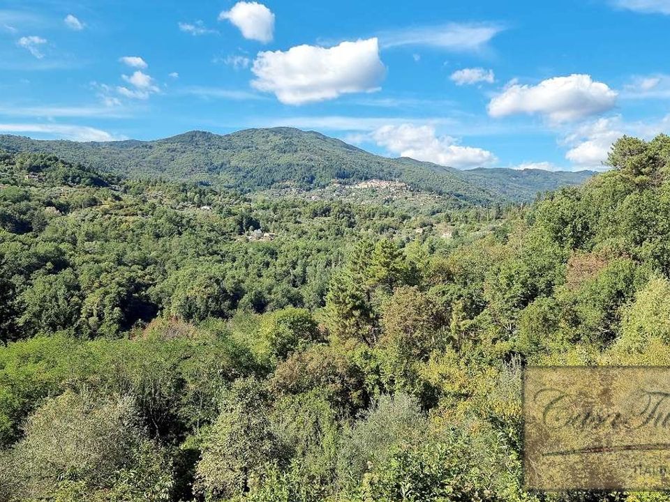 Villa i Pescia, Pistoia - foto 5