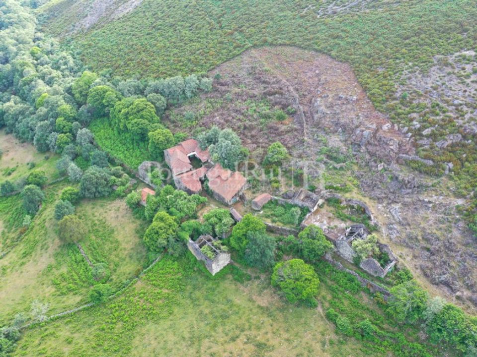 Farm i Vila Real, Vila Real - foto 2