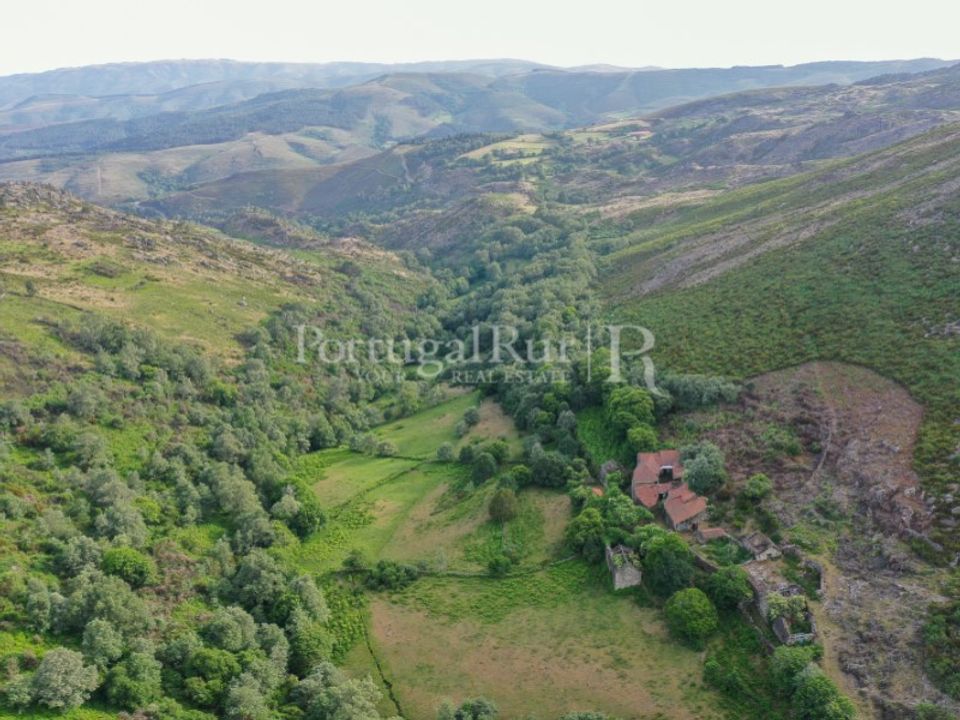 Farm i Vila Real, Vila Real - foto 3