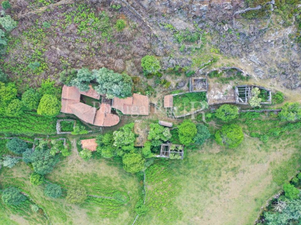 Farm i Vila Real, Vila Real - foto 4