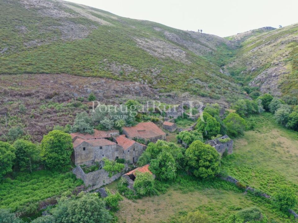 Farm i Vila Real, Vila Real - foto 5