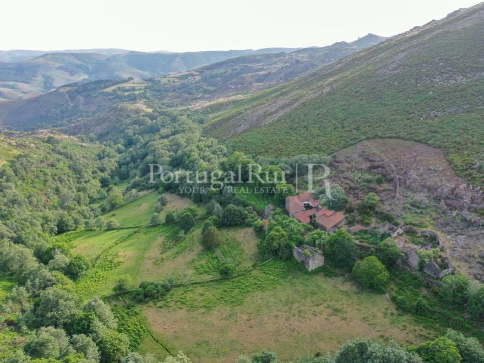 Farm i Vila Real, Vila Real - foto 1