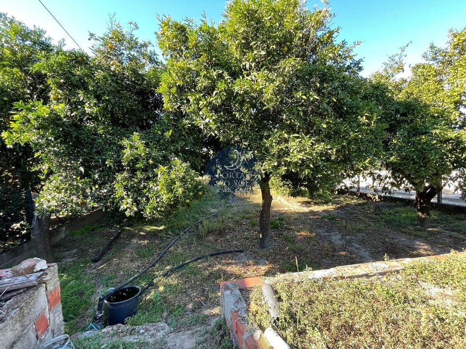 Helårsgrund i Alpiarca, Santarem - foto 2