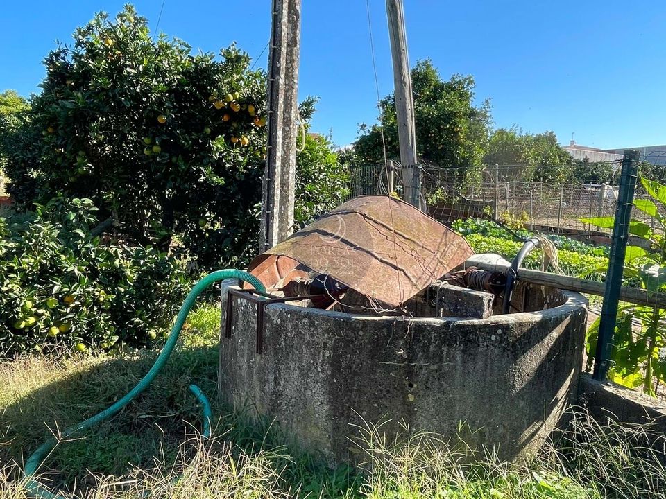 Helårsgrund i Alpiarca, Santarem - foto 3