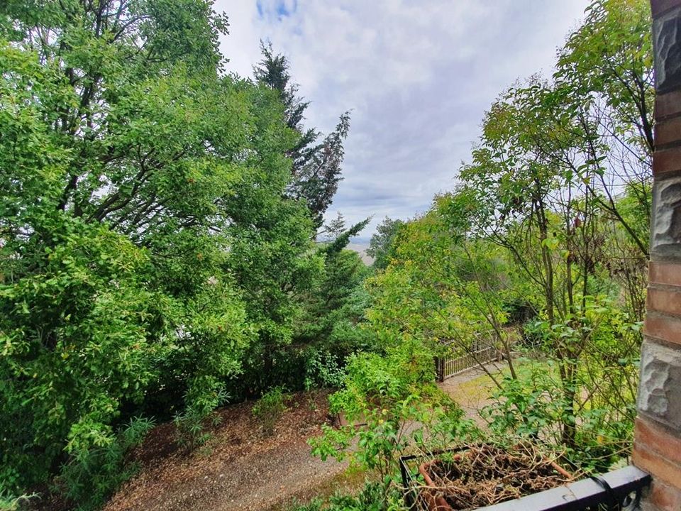 Villa i Murlo, Siena - foto 3