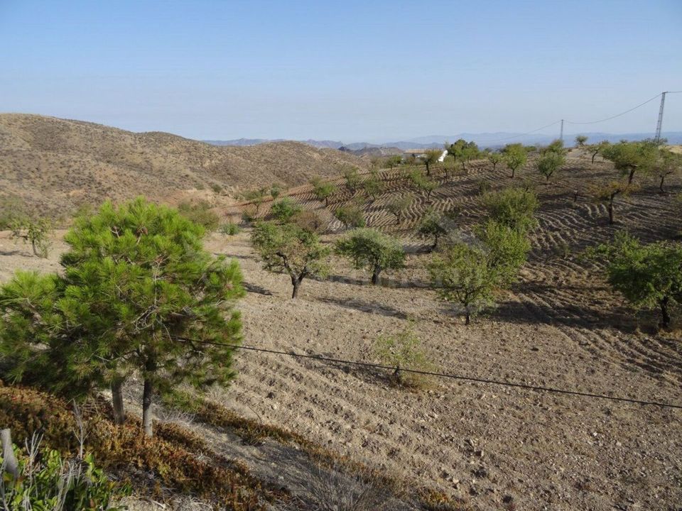 Erhvervsejendom i Las Piedras (Huercal Overa), Almeria - foto 5