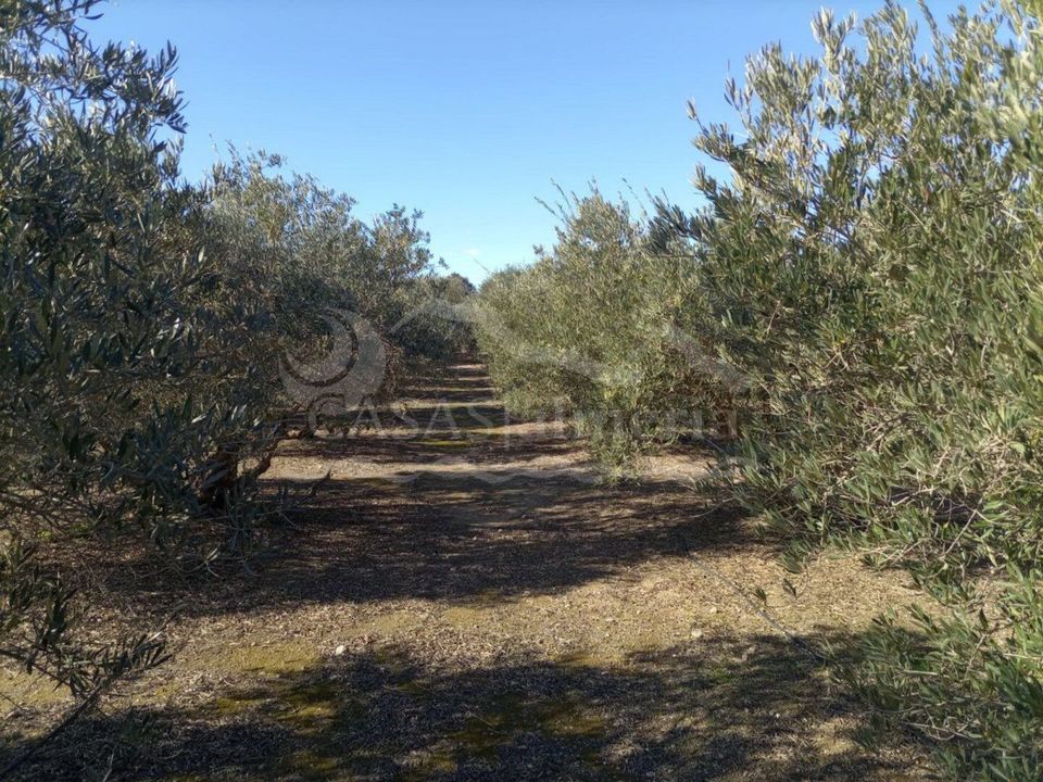 Helårsgrund i El Saltador (Pulpi), Almeria - foto 4