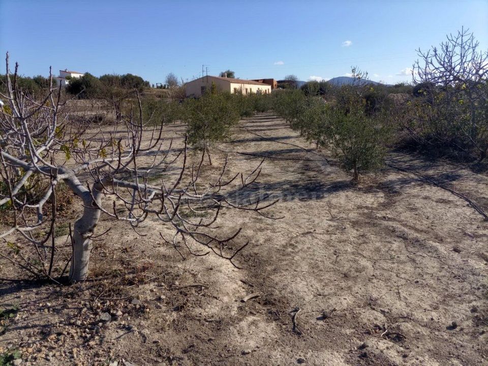 Cortijo i Huercal-Overa, Almeria - foto 3