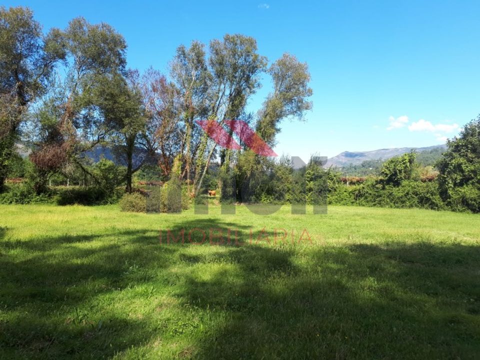 Terra a Aboim das Chocas, Viana do Castelo - foto 3