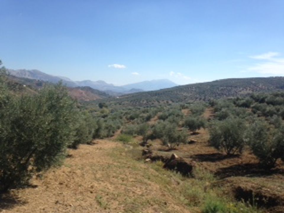 Terra a Colmenar, Malaga - foto 4